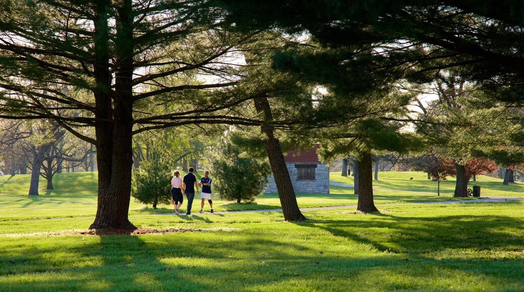 Cabanne House showing a garden as well as a small group of people