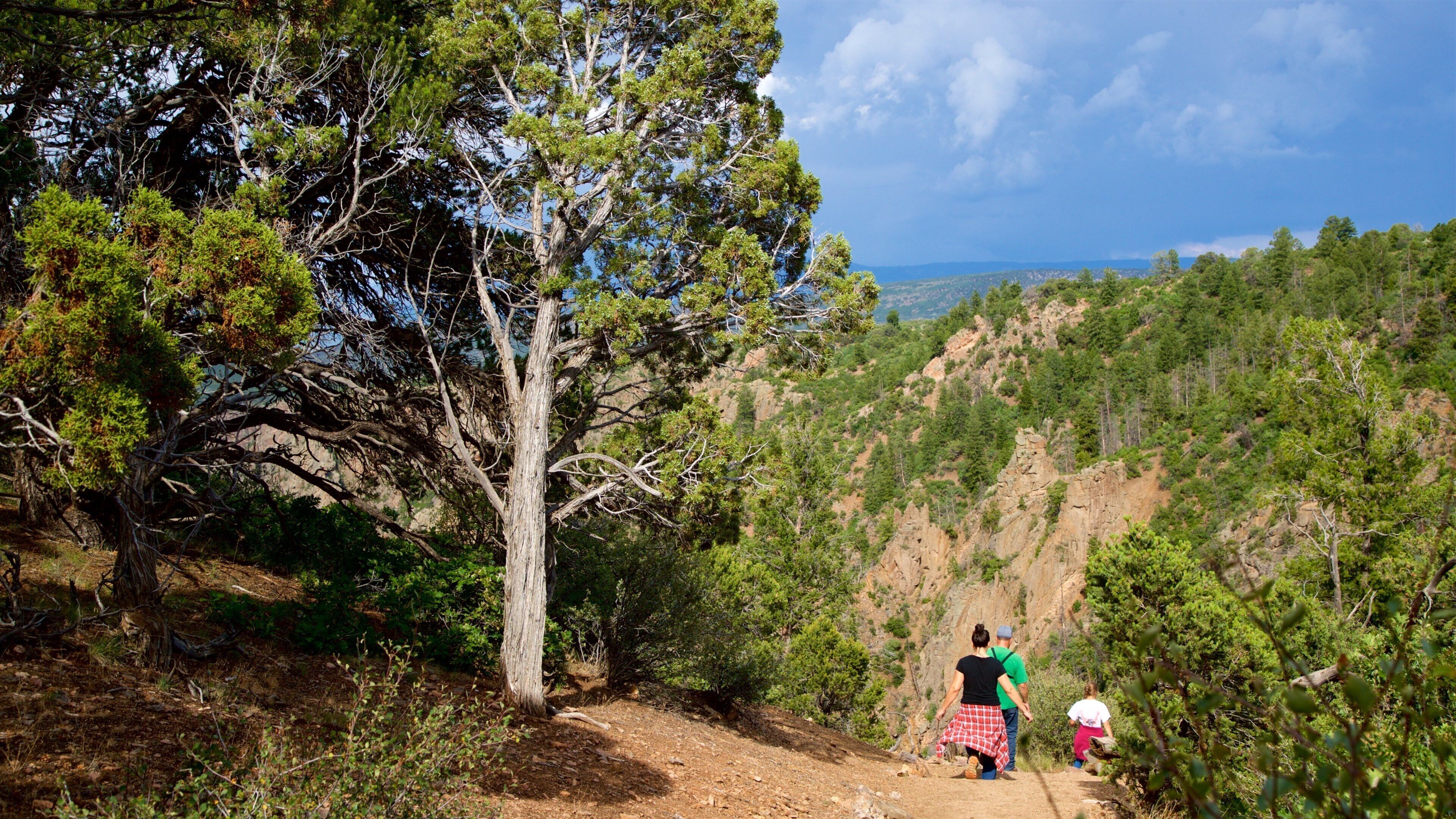 Warner Point Nature Trail