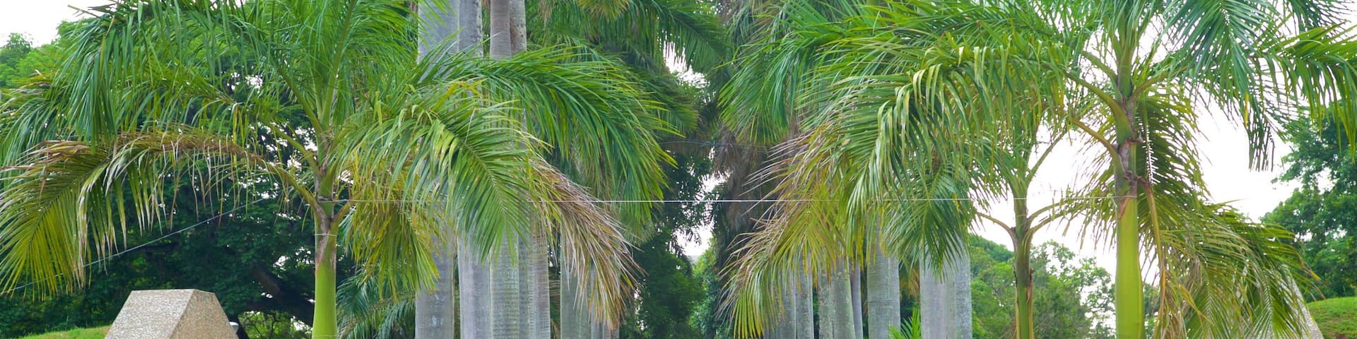 Villahermosa que incluye señalización, un jardín y arte al aire libre