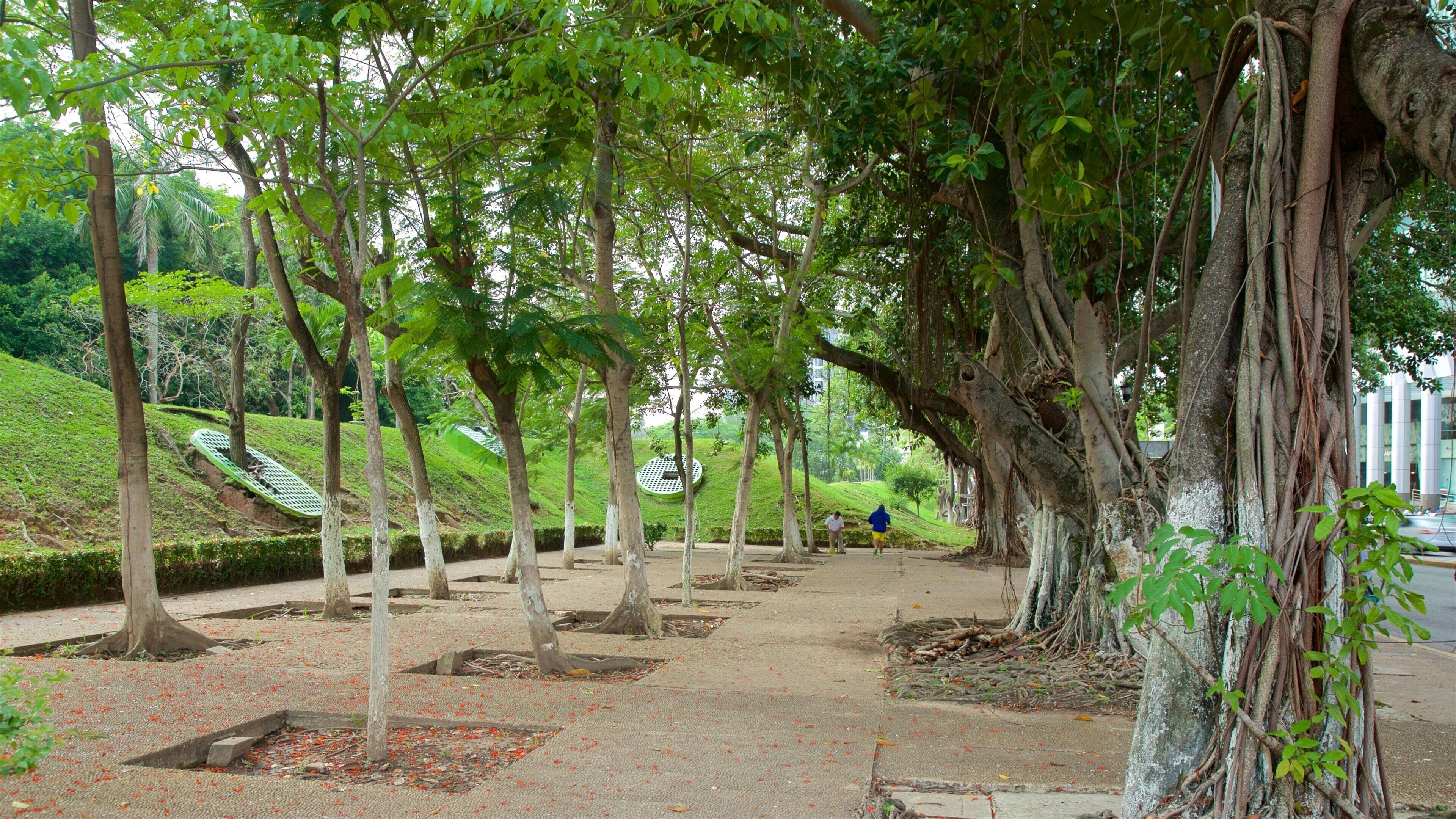 Villahermosa which includes a square or plaza