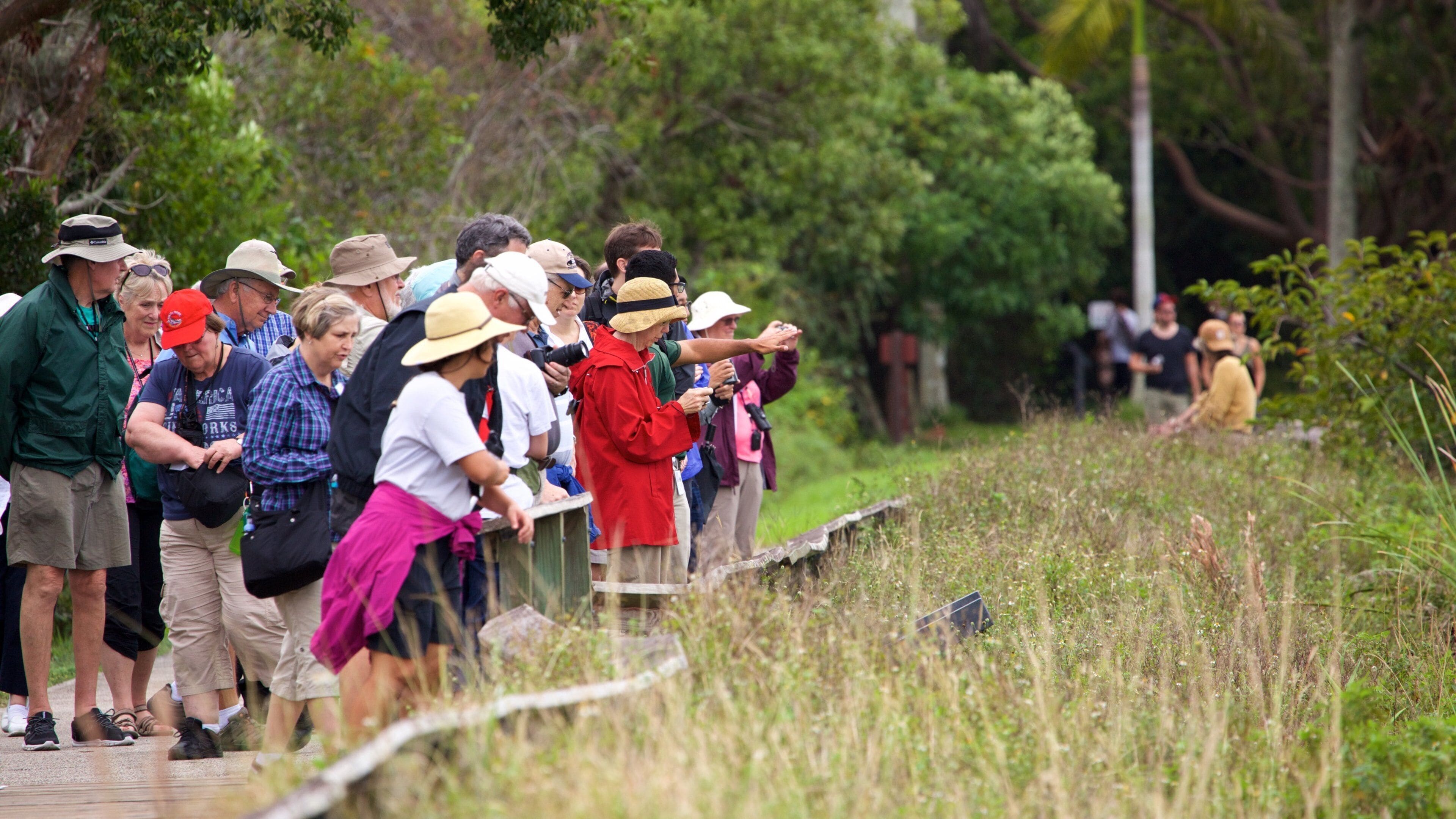 サウスイースト フロリダ 表示 森林 及び 大 勢の人々
