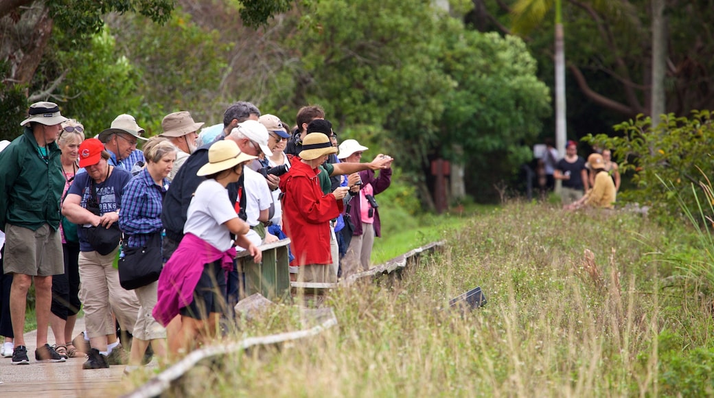 Kaakkois-Florida joka esittÀÀ metsÀnÀkymÀt sekÀ suuri ryhmÀ ihmisiÀ