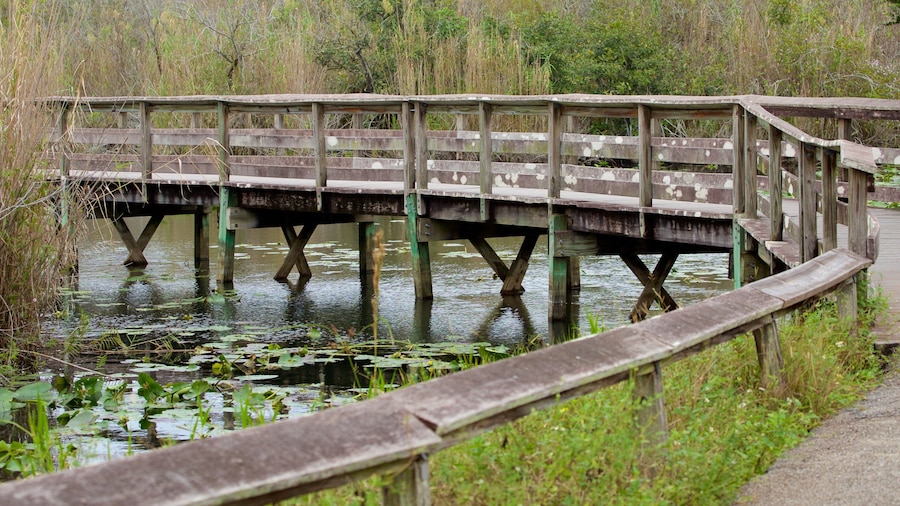 Southeast Florida showing a bridge and a lake or waterhole
