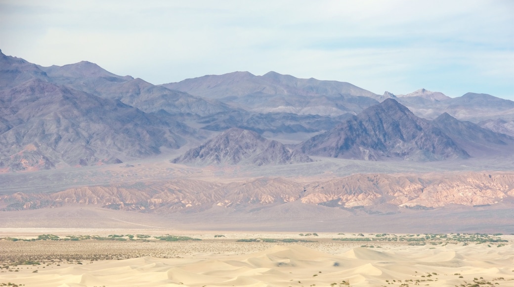Death Valley featuring desert views, landscape views and a gorge or canyon