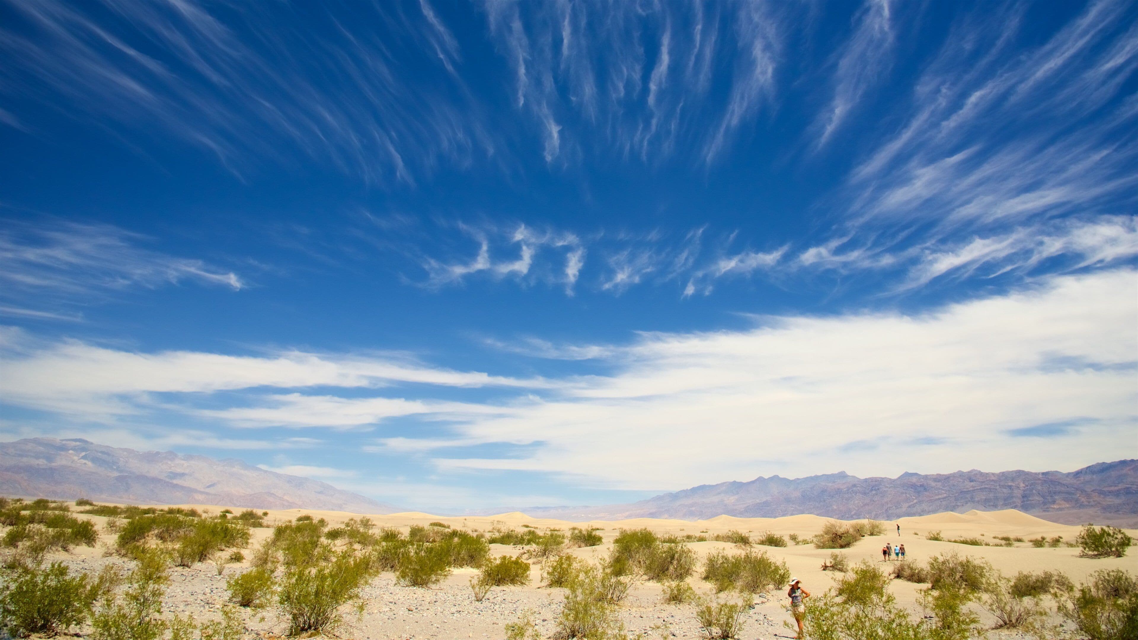 Mesquite Flat Sand Dunes showing landscape views and desert views