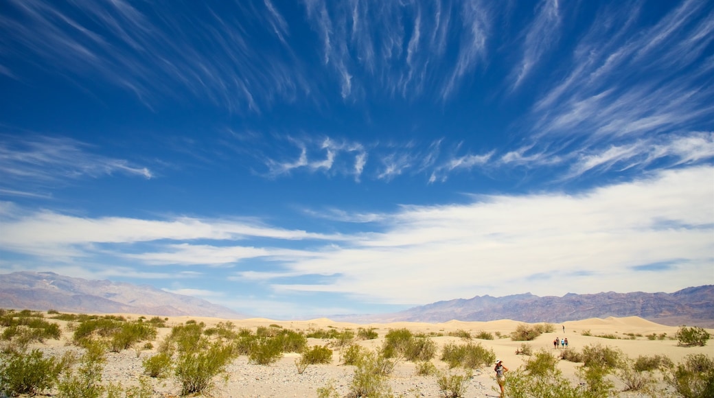 Mesquite Flat Sand Dunes showing landscape views and desert views