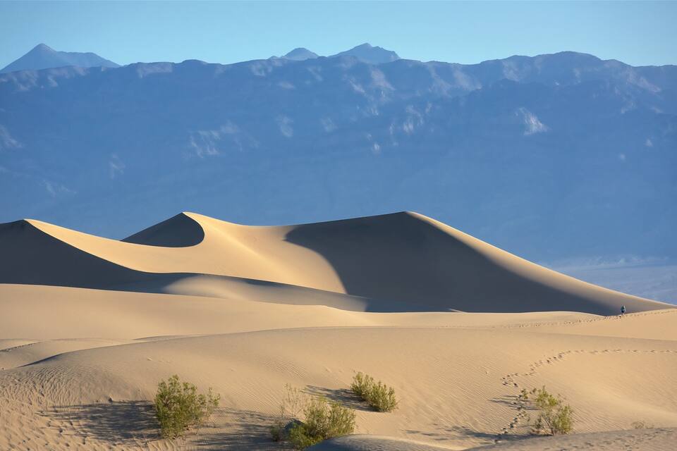 Sand dunes with sparse vegetation and mountains in the background.