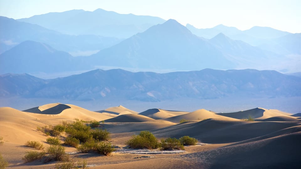 Sand dunes with sparse vegetation and distant mountains.