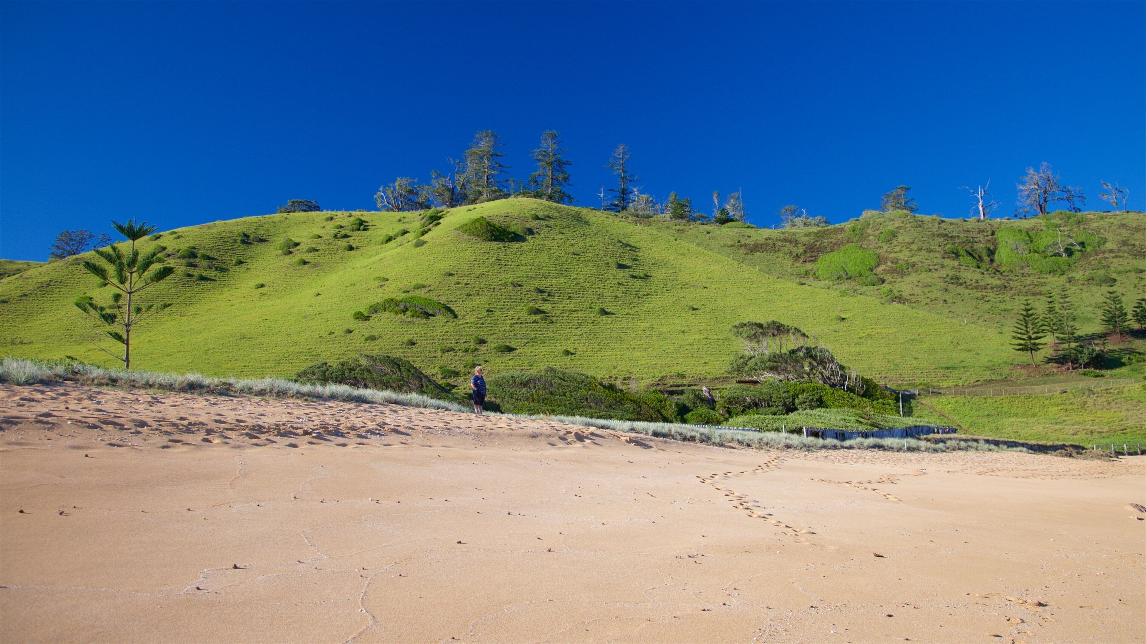 Norfolk Island which includes tranquil scenes and a beach