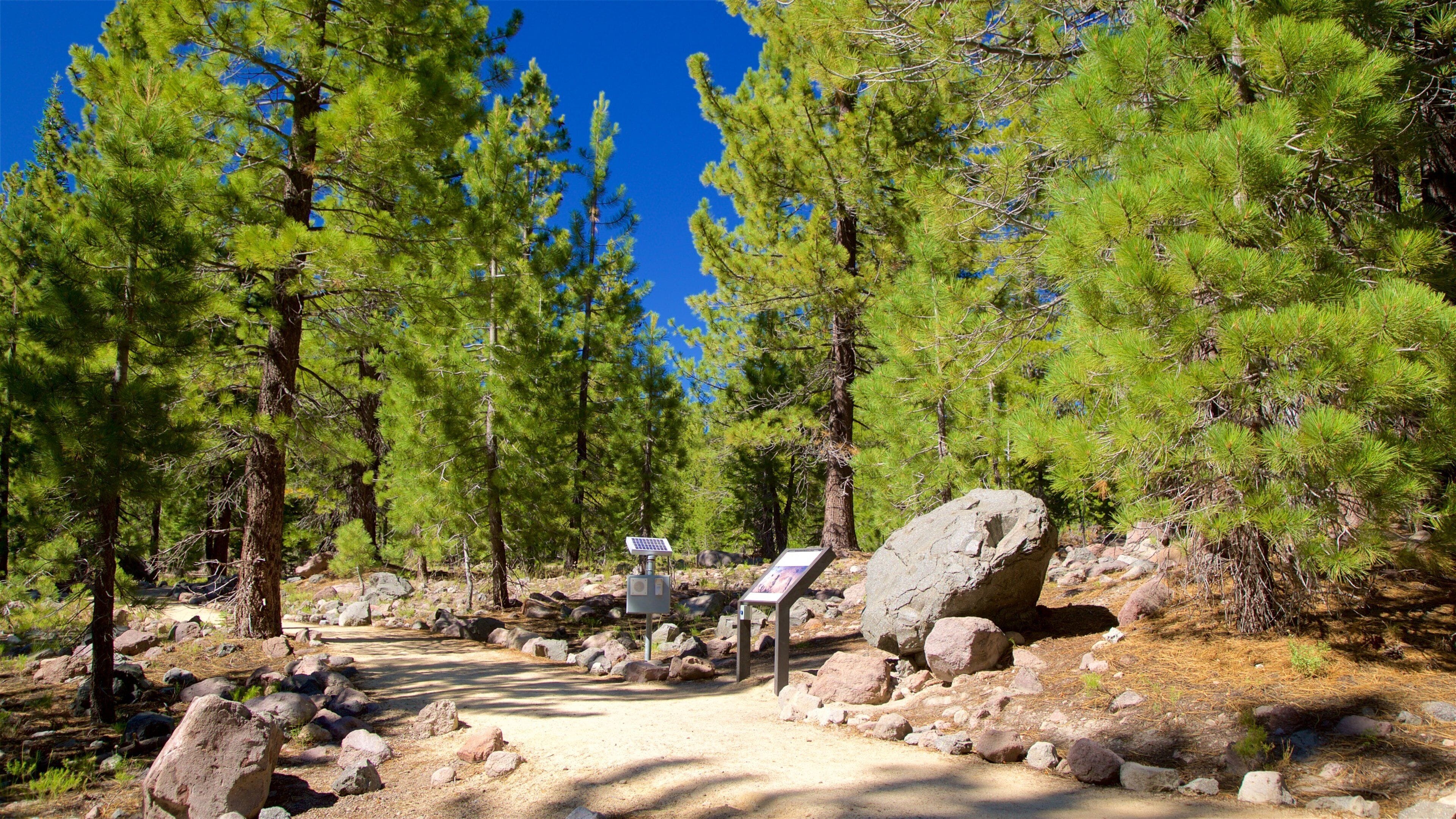 Devastated Area featuring a park