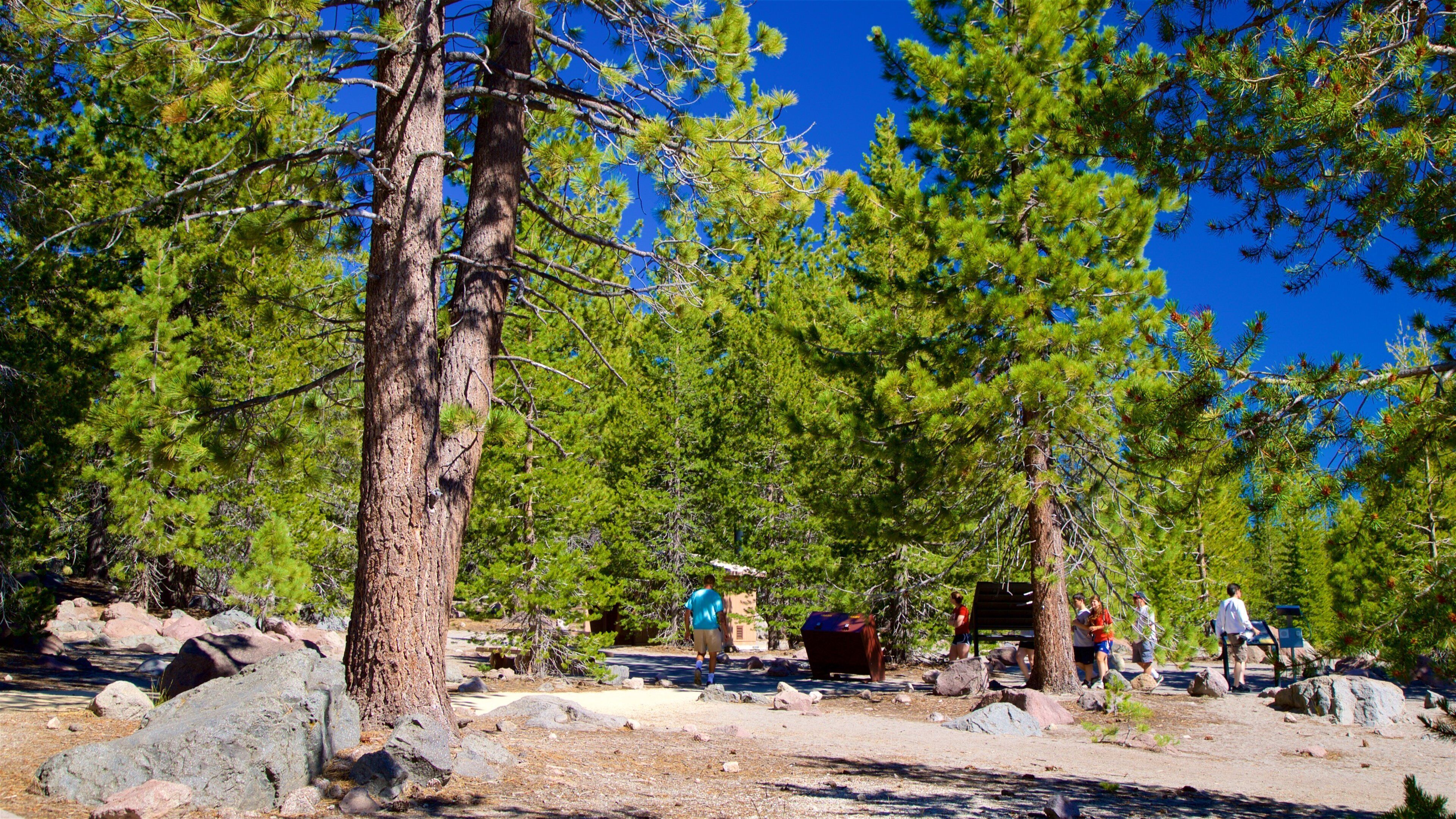 มิลล์ครีก เนื้อเรื่องที่ ตั้งแคมป์ และ ทิวทัศน์ป่า ตลอดจน คนกลุ่มเล็ก