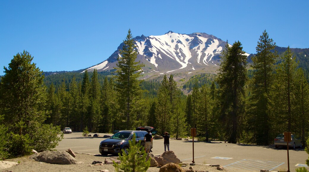 Mill Creek showing mountains and forest scenes as well as a small group of people