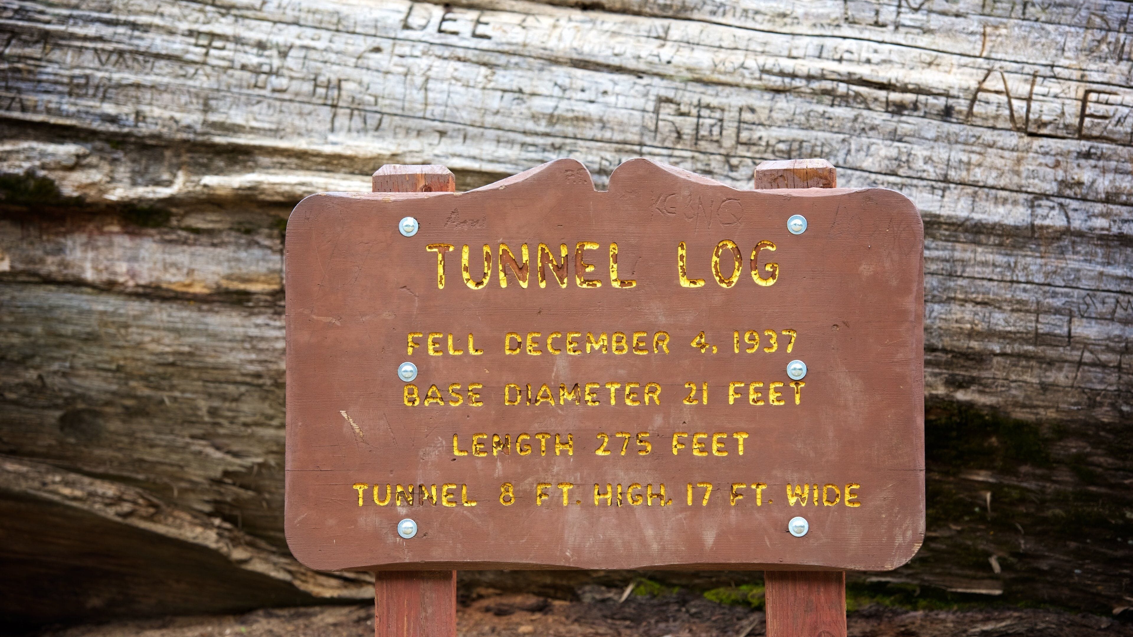 Tunnel Log featuring signage