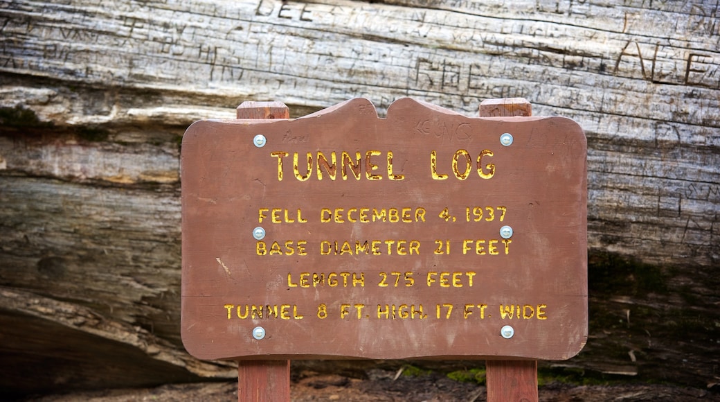Tunnel Log featuring signage