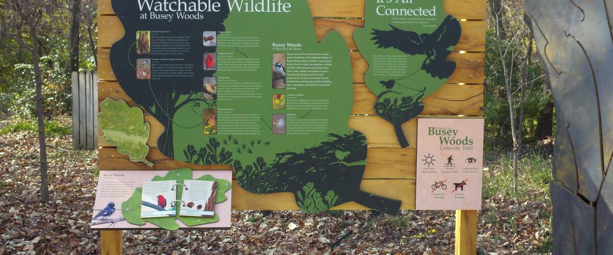 Champaign showing signage