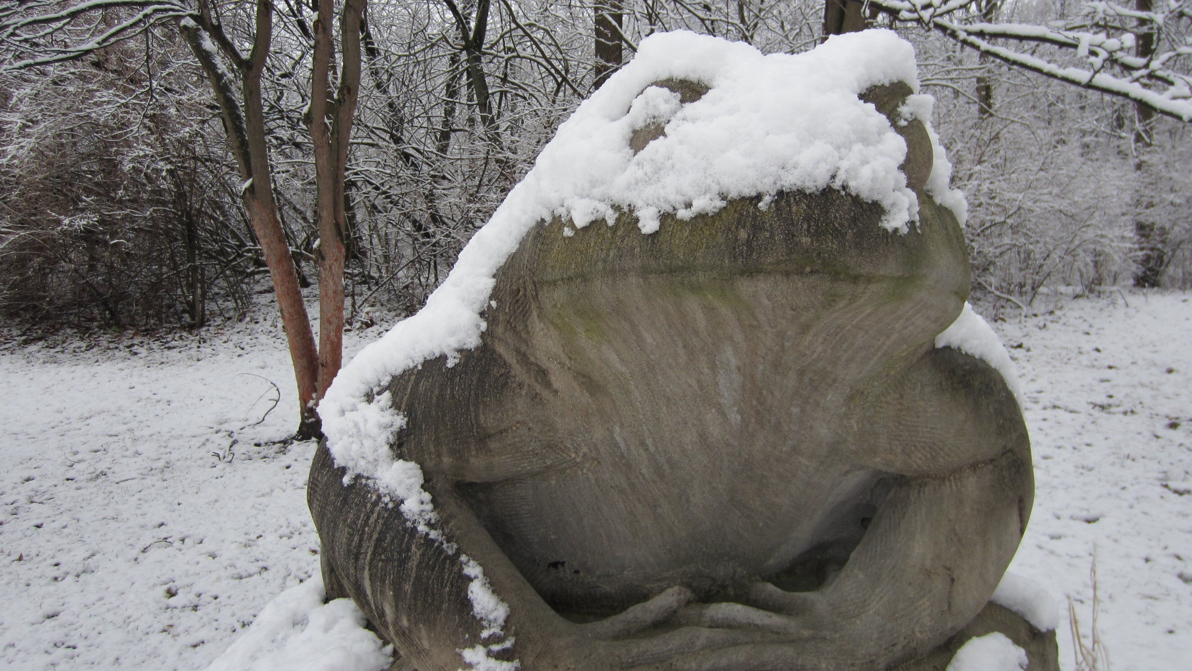 Anita Purves Nature Center which includes a statue or sculpture and snow