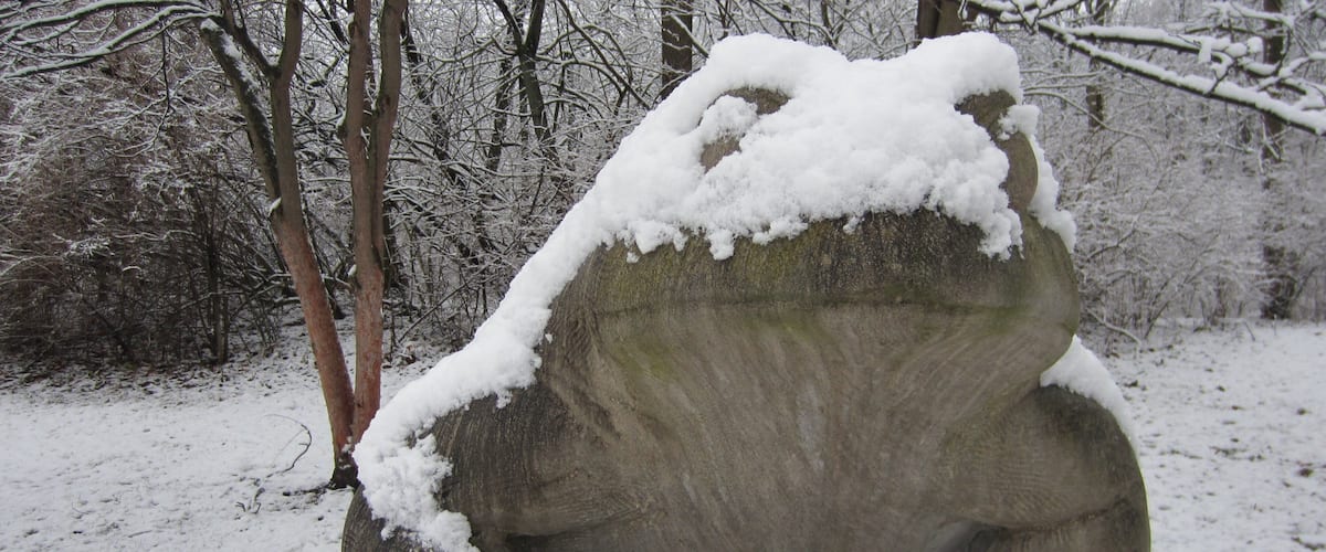 Anita Purves Nature Center which includes a statue or sculpture and snow