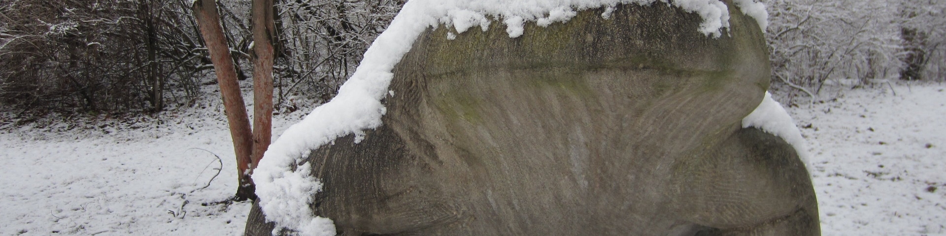 Anita Purves Nature Center which includes a statue or sculpture and snow