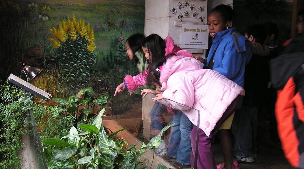 Champaign aussi bien que petit groupe de personnes