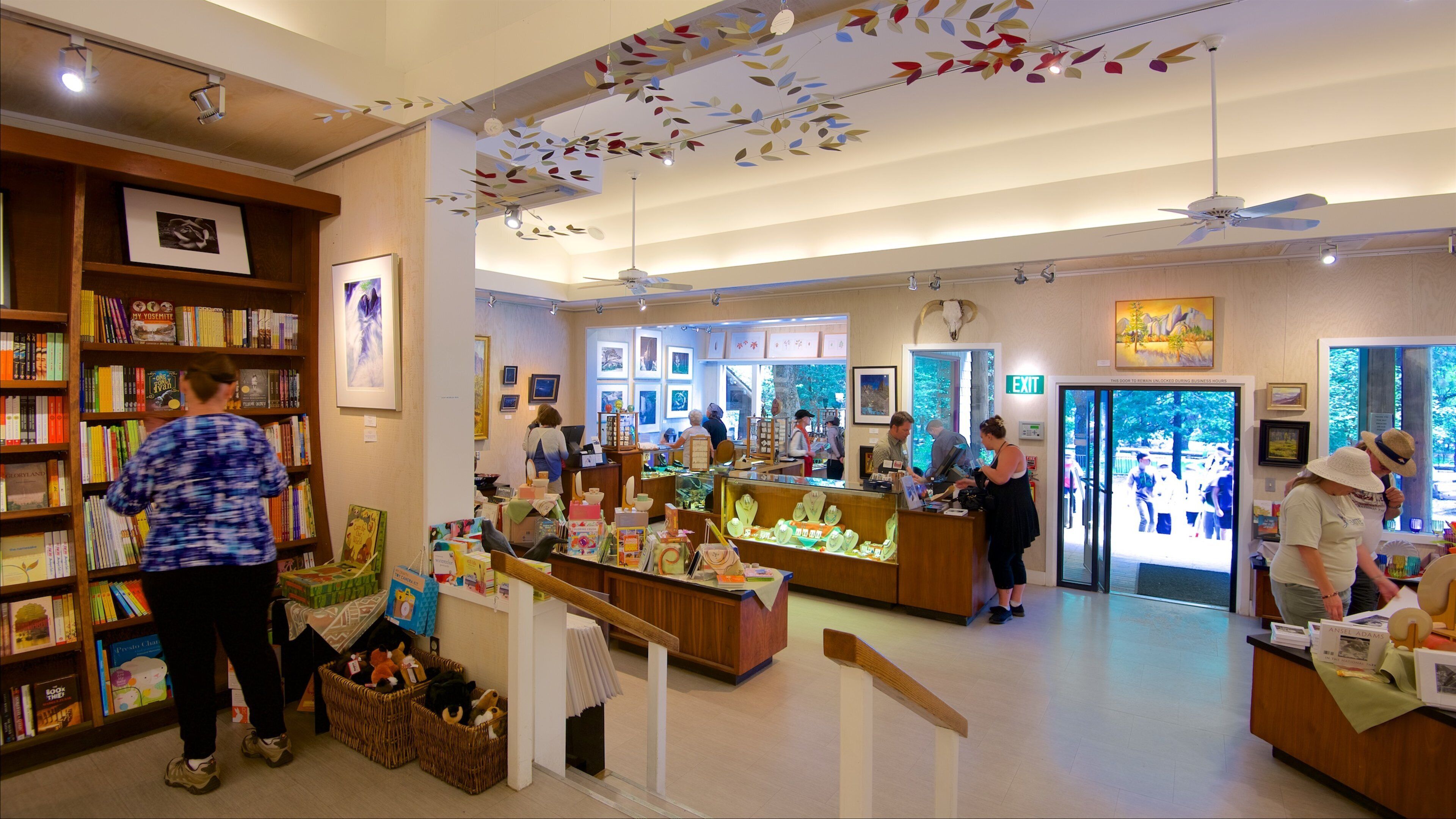 Parc national de Yosemite mettant en vedette vues intérieures