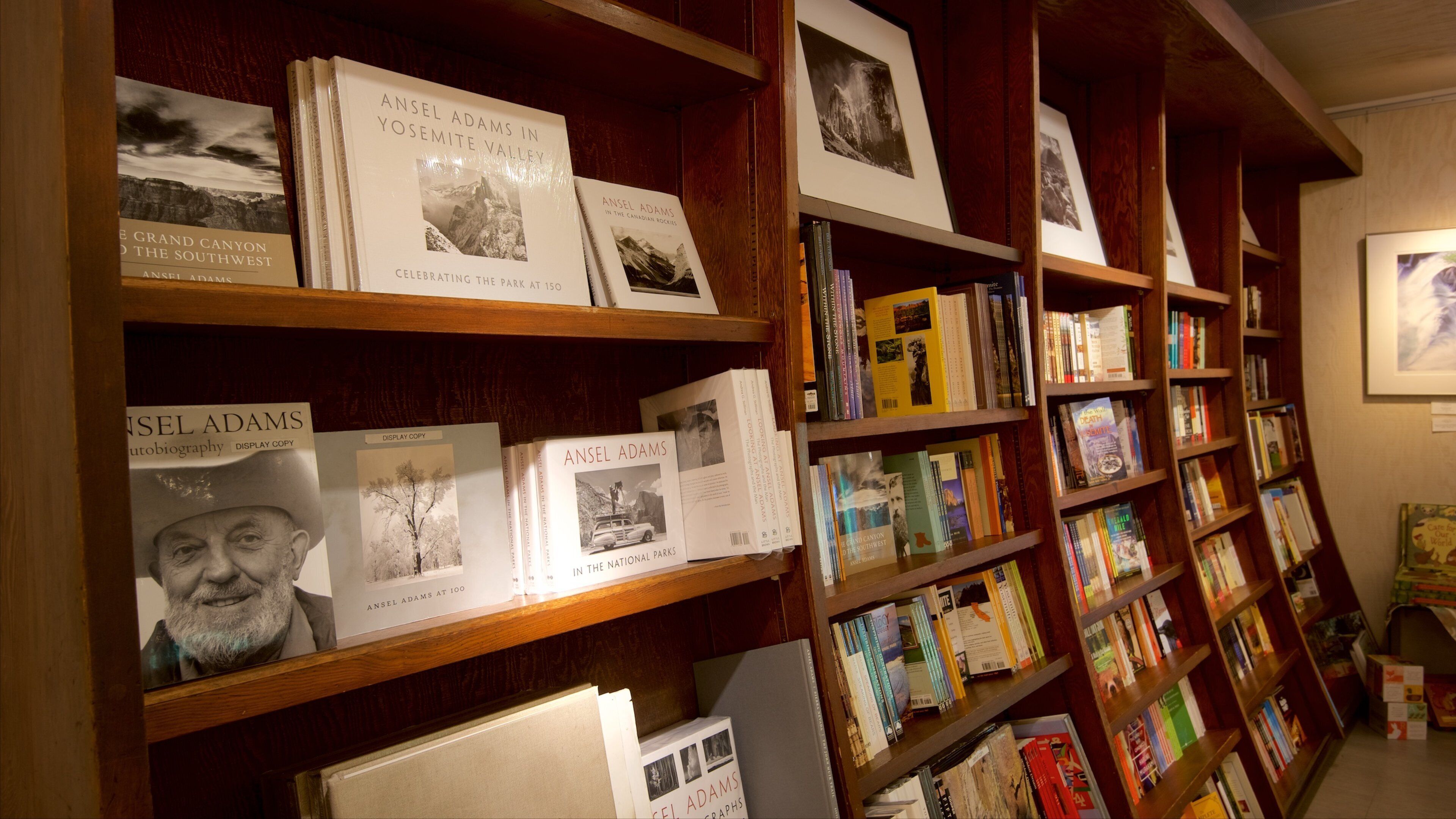 Ansel Adams Gallery featuring interior views