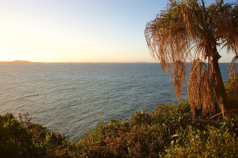 A coastal landscape with a view of the sea, a palm tree, and surrounding greenery.