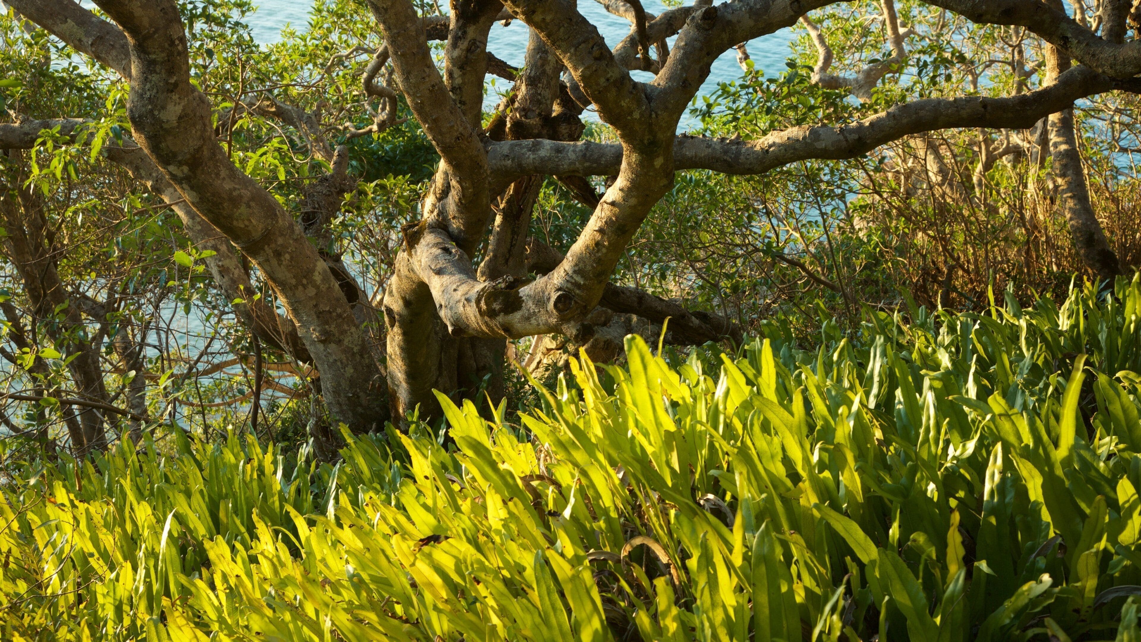 Seventeen Seventy mostrando jardín