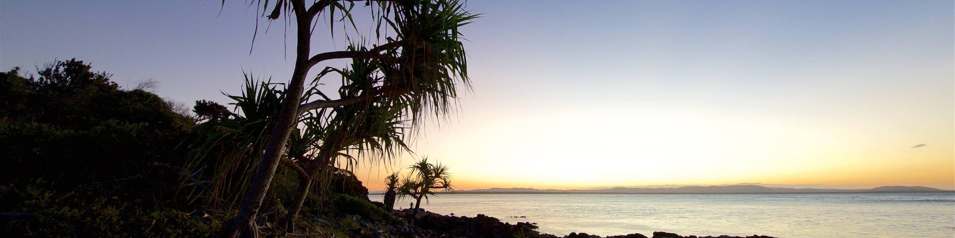 A rocky beach with palm trees at sunset.