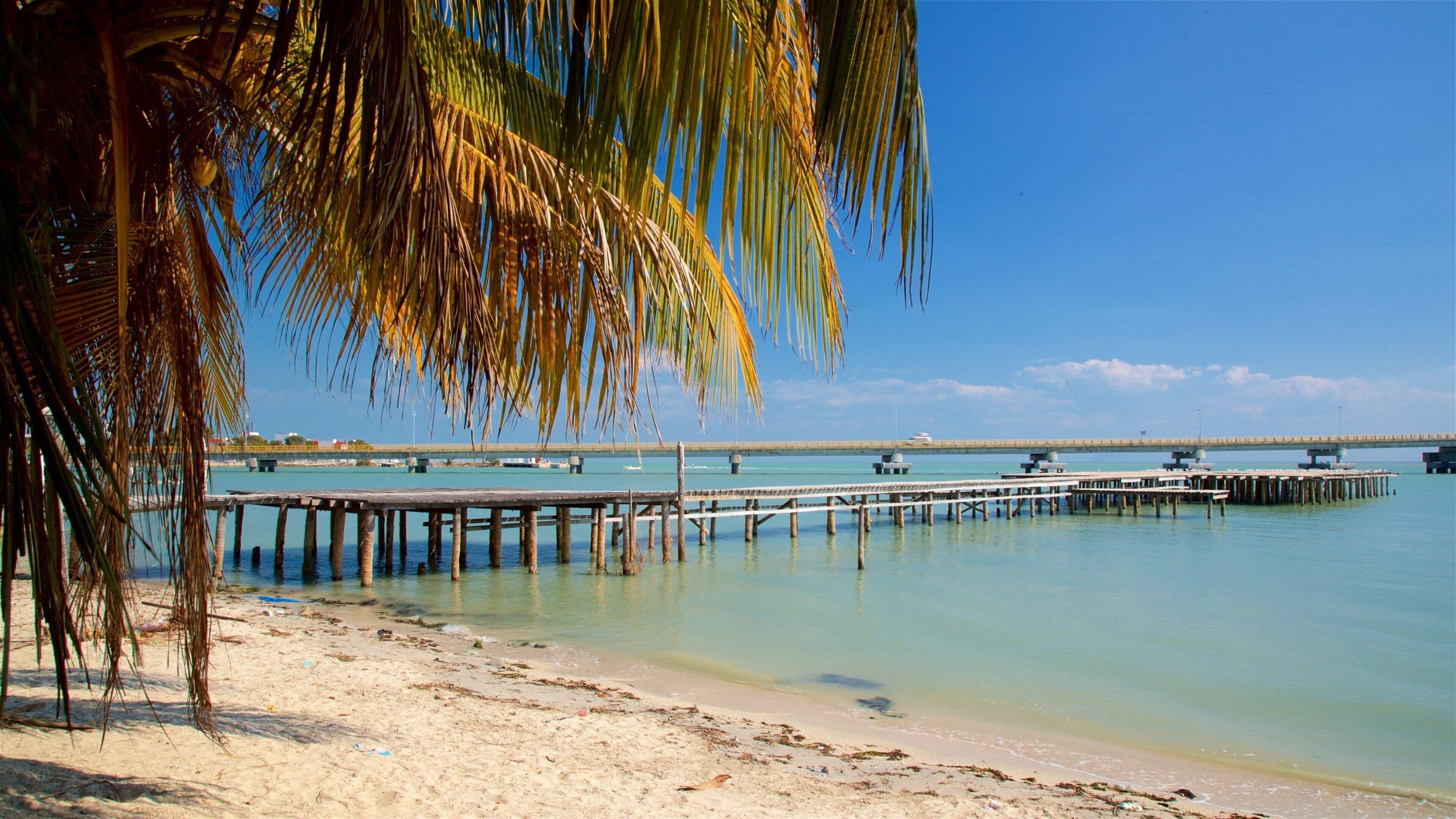 A beach with a wooden pier extending into calm turquoise waters, palm trees, and a clear blue sky.
