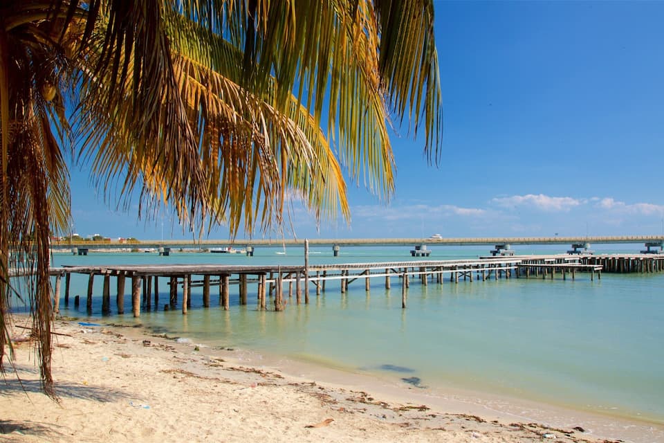 A beach with a wooden pier extending into calm turquoise waters, palm trees, and a clear blue sky.
