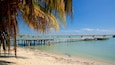 A beach with a wooden pier extending into calm turquoise waters, palm trees, and a clear blue sky.