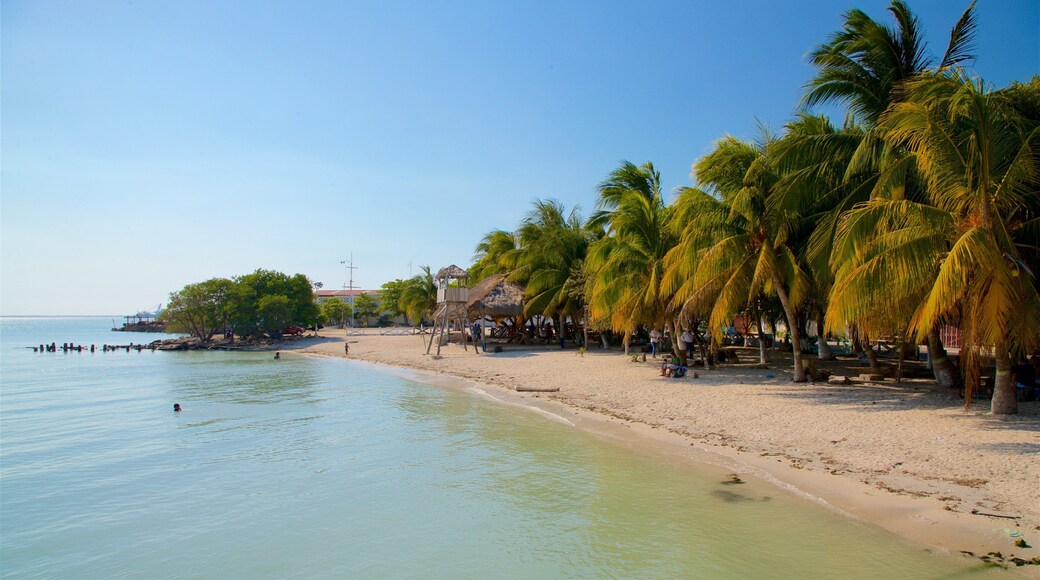 Ciudad del Carmen featuring tropical scenes, general coastal views and a sandy beach