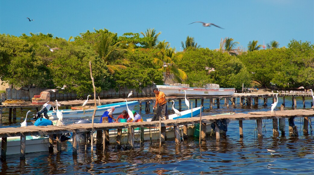 Ciudad del Carmen ofreciendo vida de las aves y también un pequeño grupo de personas