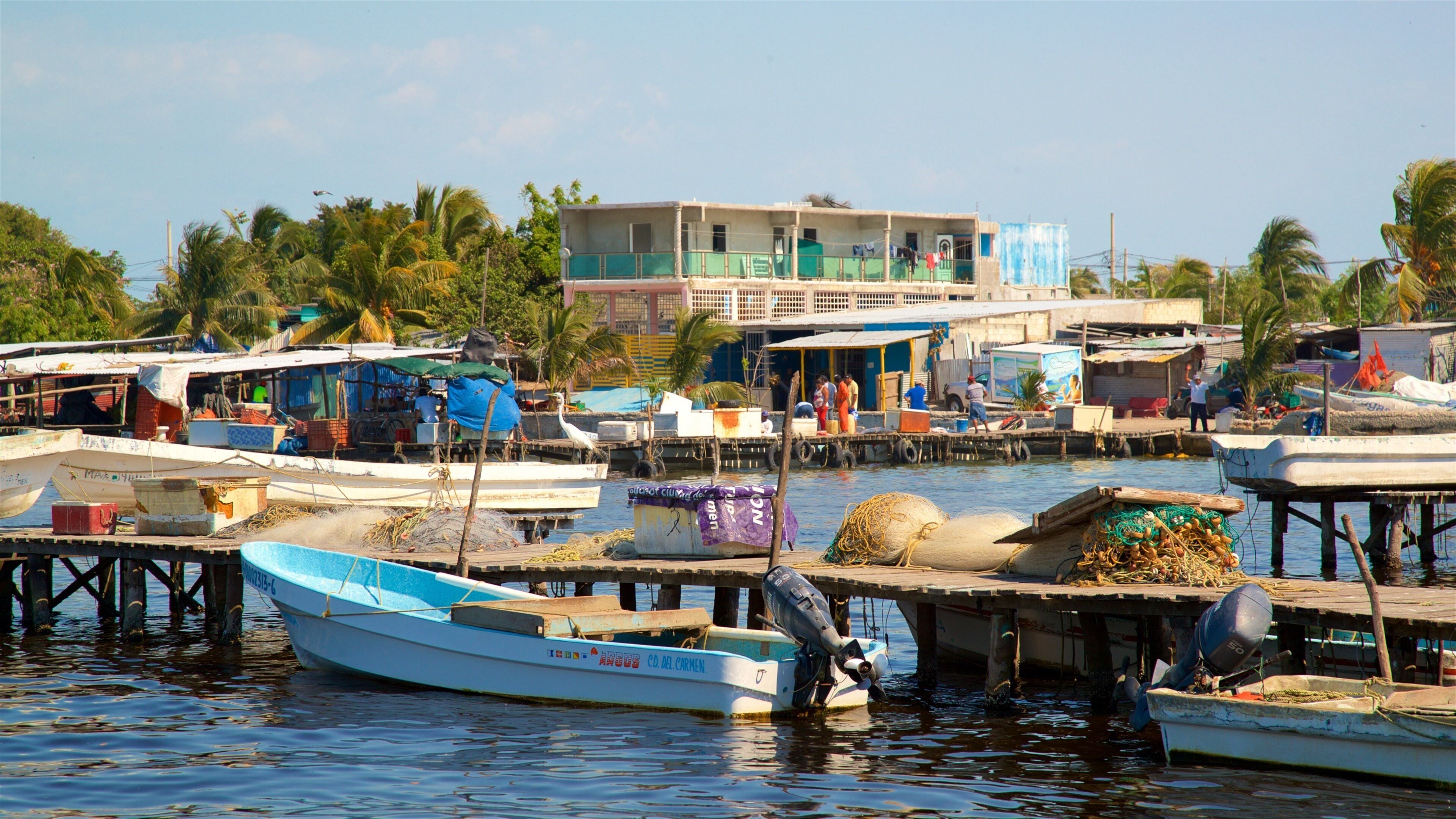 Ciudad del Carmen featuring a bay or harbor