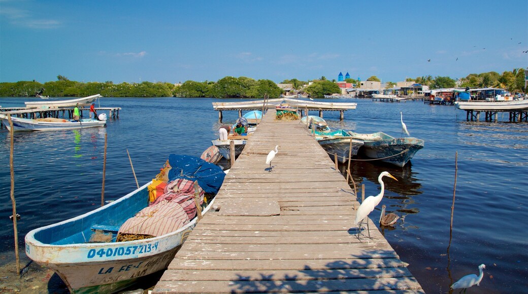 Ciudad del Carmen featuring a bay or harbor