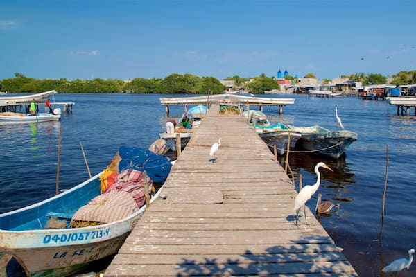 Ciudad del Carmen mit einem Bucht oder Hafen