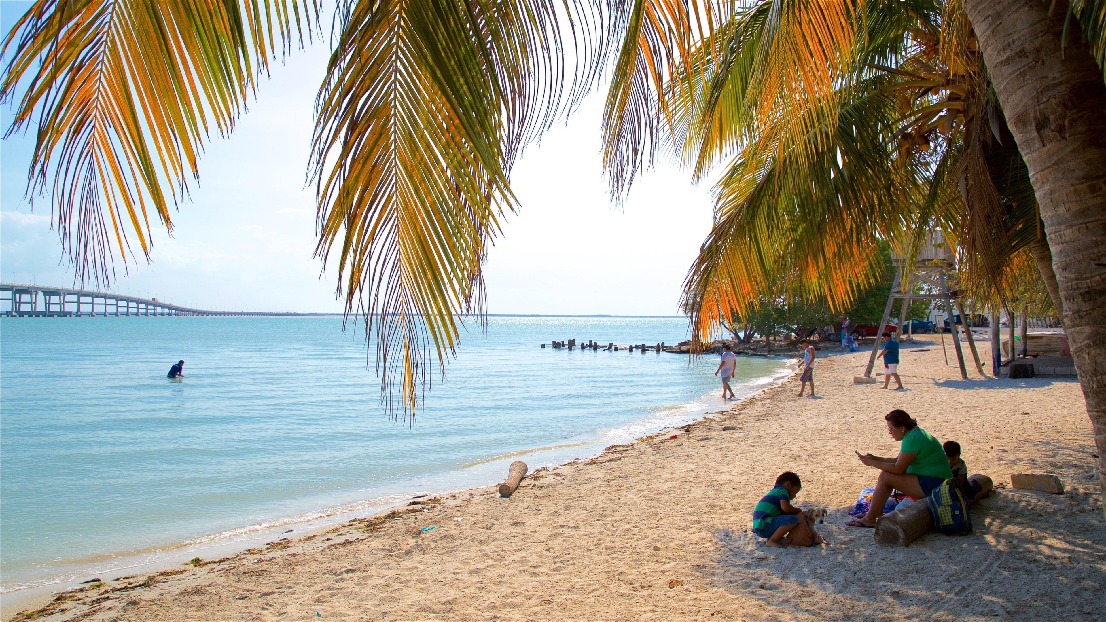 Ciudad del Carmen which includes a beach and general coastal views as well as a small group of people