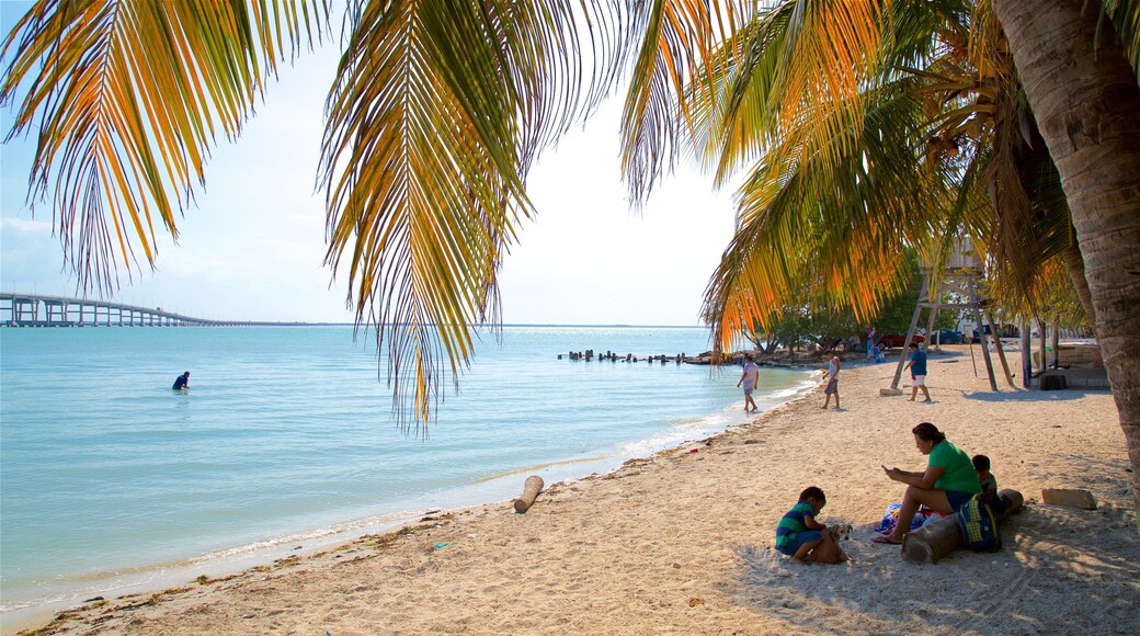 Ciudad del Carmen which includes a beach and general coastal views as well as a small group of people