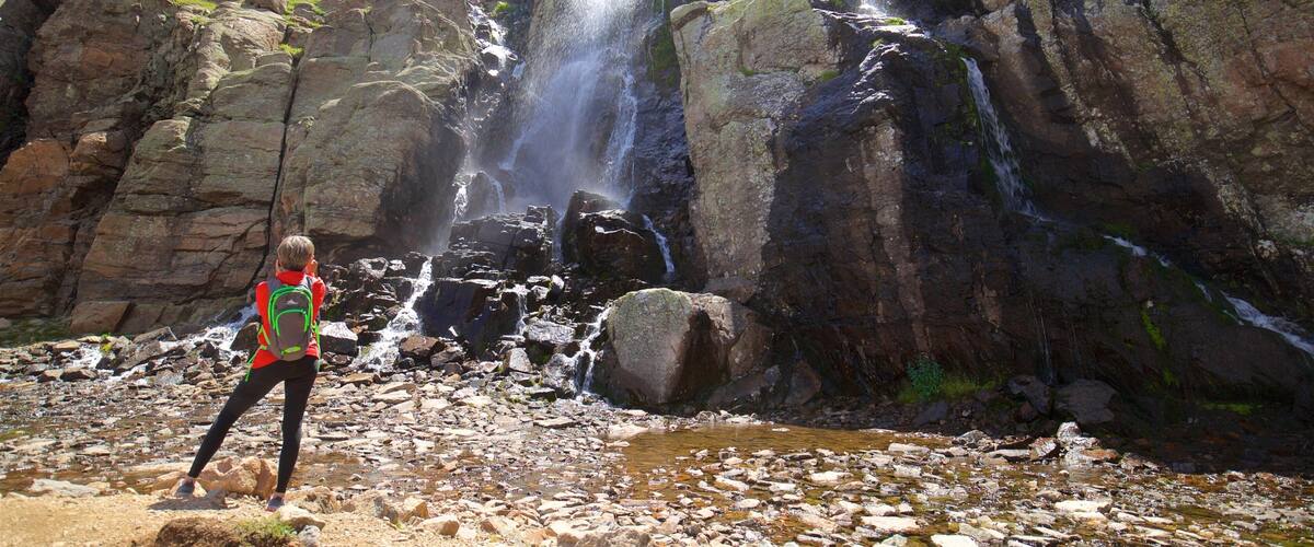 Timberline Falls