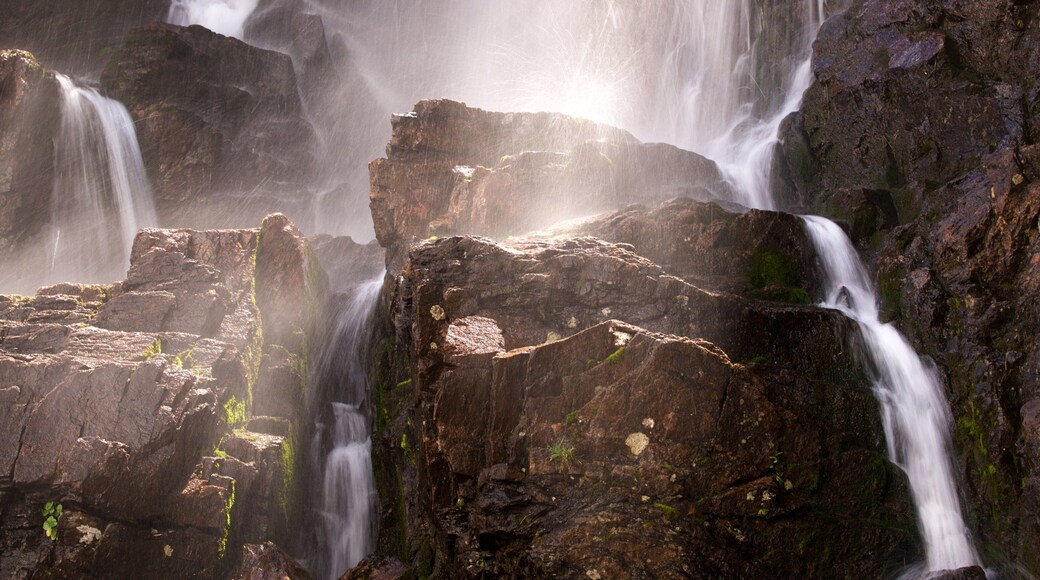 Timberline Falls showing mist or fog and a waterfall
