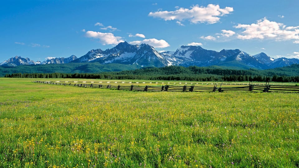 A green field with a wooden fence, a mountain range, and a clear blue sky.