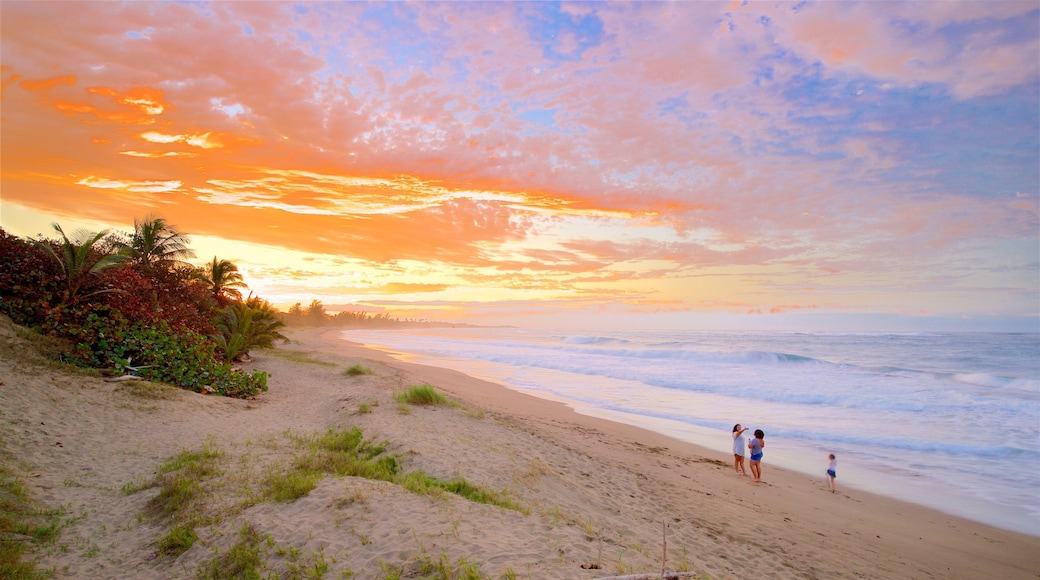 Reserva Natural Playa Grande - El Paraiso showing general coastal views, a beach and a sunset