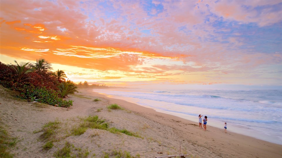 A beach with people walking along the shore, palm trees, and a sunset.