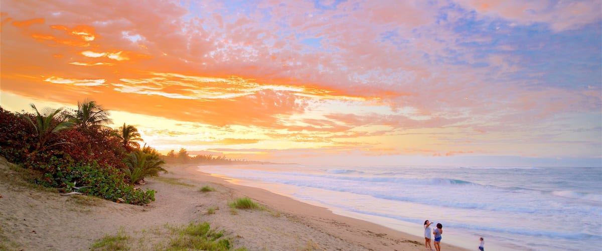 A beach with people walking along the shore, palm trees, and a sunset.