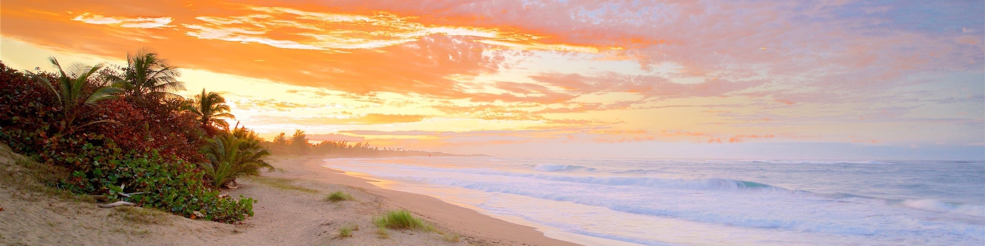 A beach with people walking along the shore, palm trees, and a sunset.