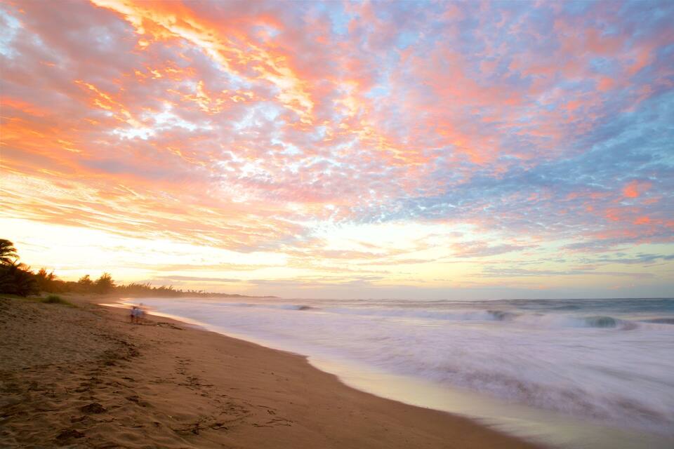 A beach with waves at sunset, a sandy shore, and a line of trees in the distance.
