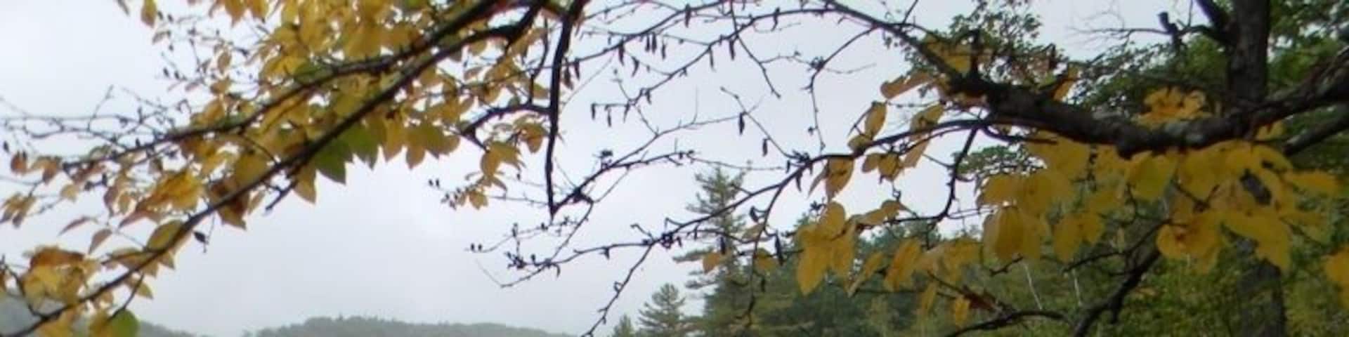 Fall in Western Maine