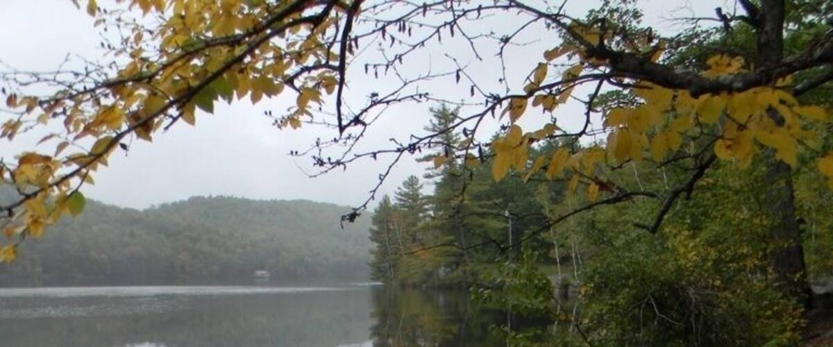 A calm lake with rocks and autumn leaves along the shore.