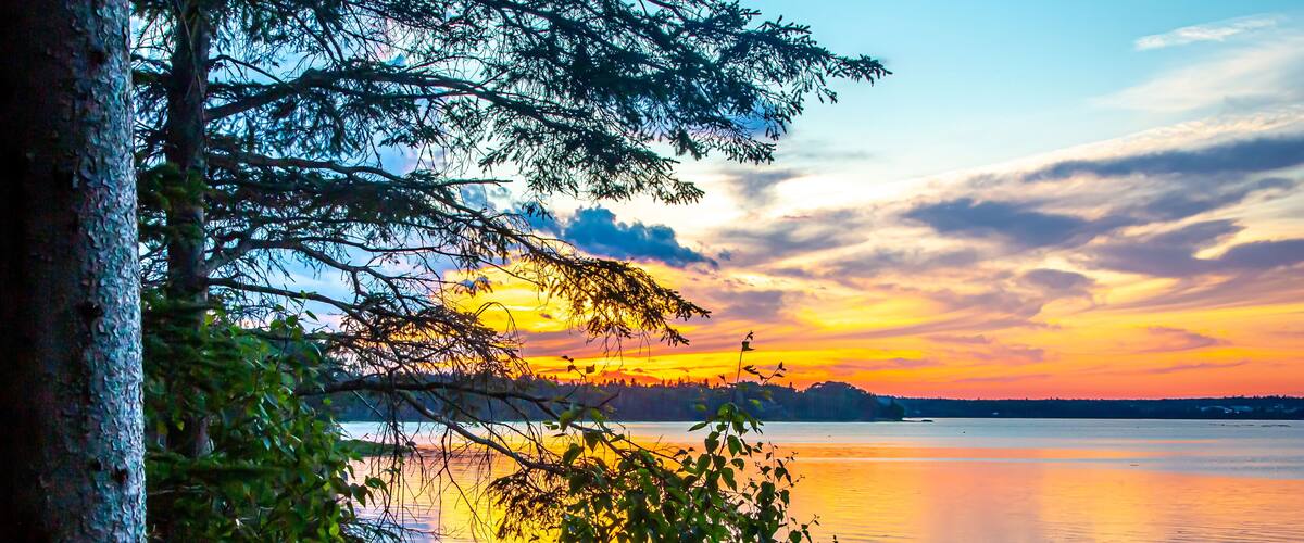 A sunset over a calm lake with trees reflecting the colors of the sky.