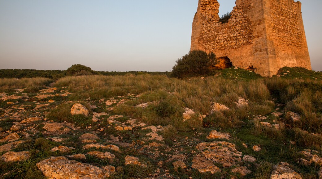 Naturschutzgebiet der Calanchi von Montalbano Jonico